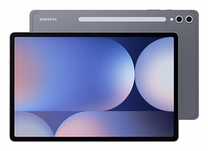 Samsung S10+ 5G 256 GB 31.5 cm (12.4") 12 GB Android 14 harmaa