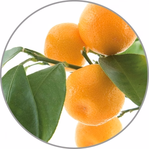 Medisana aromiesenssi Appelsiini