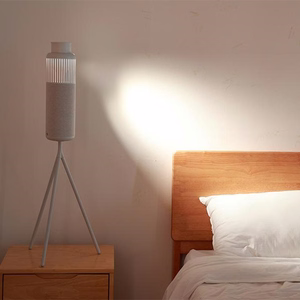 HiFuture Wedge Bluetooth-kaiutin - hopeinen ja valkoinen