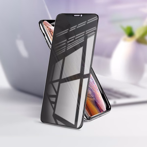 Borofone Karkaistu lasi BF7 Diamond Armor Full Screen Anti-spy iPhone X/XS/11 Pro:lle - 10 kpl