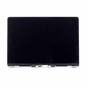 LCD-näyttömoduuli Apple A2179 2020 (hopea)