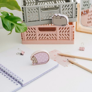 Pusheen Moments -jättipyyhekumisetti, 2 kpl