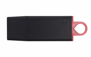 Kingston USB-muisti 256 GB USB 3.2 DT Exodia