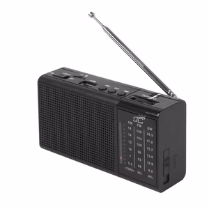 Kannettava radio LTC REGA, USB, TF, AUX, mini-LED-taskulamppu, musta