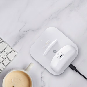 BoboVR BD2 Charging Station for BoboVR B2 External Batteries + B2 Battery - White