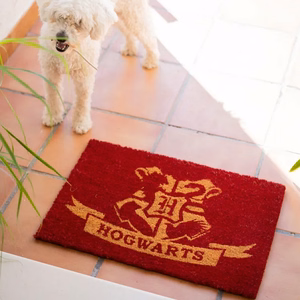 Harry Potter Hogwarts -ovimatto, 40 × 60 cm