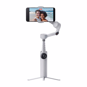 Insta360 Flow 2, harmaa (HU)