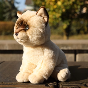Rappa Soft Collection ympäristöystävällinen realistinen istuva ragdoll-kissapehmolelu, 23 cm