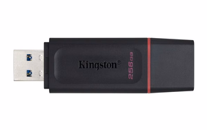 Kingston USB-muisti 256 GB USB 3.2 DT Exodia