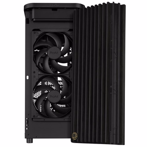 ASUS ProArt PA401 Wood Edition -verkkopaneeli, musta