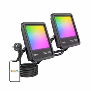 Lepro F1 30 W floodlight