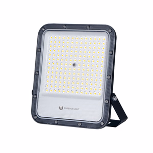 Floodlight LED PROXIM+ 100W 6500K 15000lm 230V IP65 Forever Light 150lm/W 5 years warranty