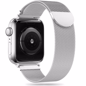 Tech-Protect MilaneseBand Ranneke Apple Watch 4/5/6/7/8/9/SE/Ultra 1/2 42/44/45/49mm Hopeinen