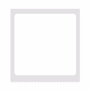 Termaaliset etikettitarrat Niimbot T 40x40mm 180 kpl (valkoinen)