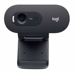Logitech C505 webcam 1280 x 720 px USB Black