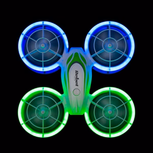 REBEL SPARROW -drooni