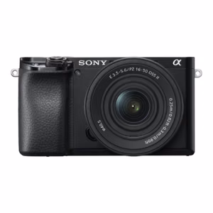 Sony (Sony ILCE-6100 Mirrorless Camera + 16-50mm Lens, Black)