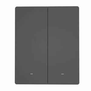 SONOFF M5 Älykäs seinäkytkin M5-2C-80, Wi-Fi