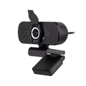 Rebel webcam
