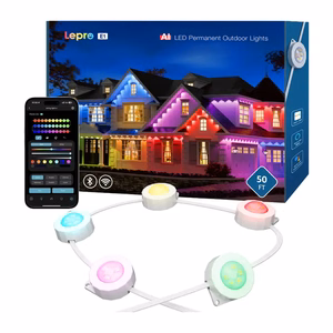 Lepro E1-30 Outdoor Light