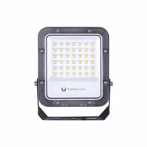 Forever Light Floodlight LED PROXIM+ 30W 6500K 4500lm 230V IP65 150lm/W 5 Years Warranty