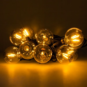 Forever Light FL-2B LED-lamput E12 G40 0.5W 3V 24lm 2200K, kulta, 6pcs