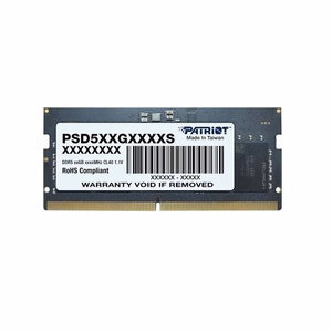 Patriot Memory Signature PSD516G560081S muistimoduli 16 GB 1 x 16 GB DDR5 5600 MHz