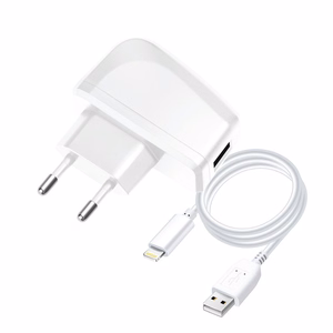 Phone charger Blue Star Lite USB A 1A 5W + cable USB A to Lightning TFK-TC-1095B white
