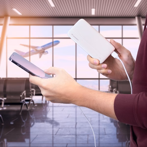 Wozinsky powerbank Li-Po 10000mAh 2 x USB valkoinen (WPBWE1)