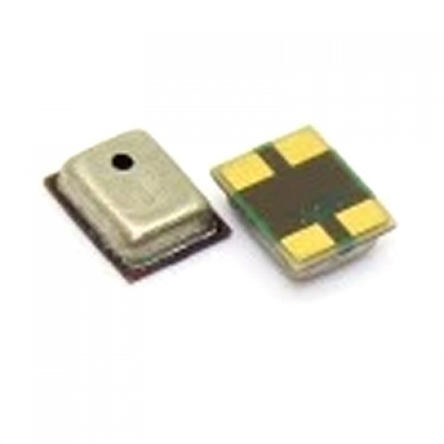 Microphone Compatible With Version Nr.21 (S/N 191)