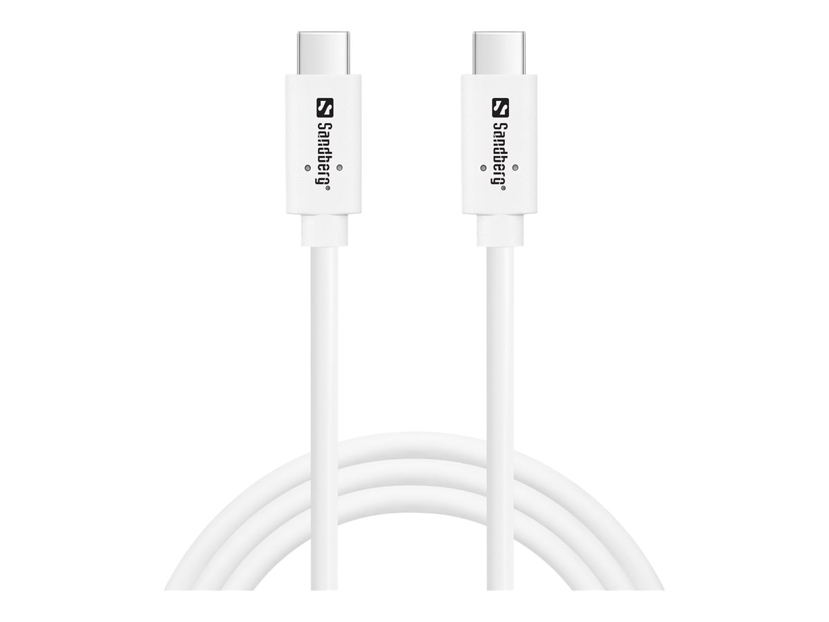 SANDBERG USB-C>C USB 3.1 G2 100W 1 m