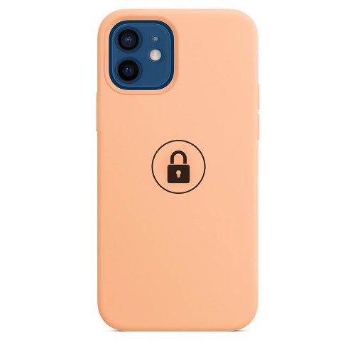 Phone Case "Silicone Case v2" for iPhone 12 (12 Pro) / Cantaloupe / in package