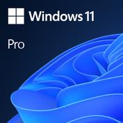 Microsoft Windows 11 Pro 64-bit OEM DVD englanti