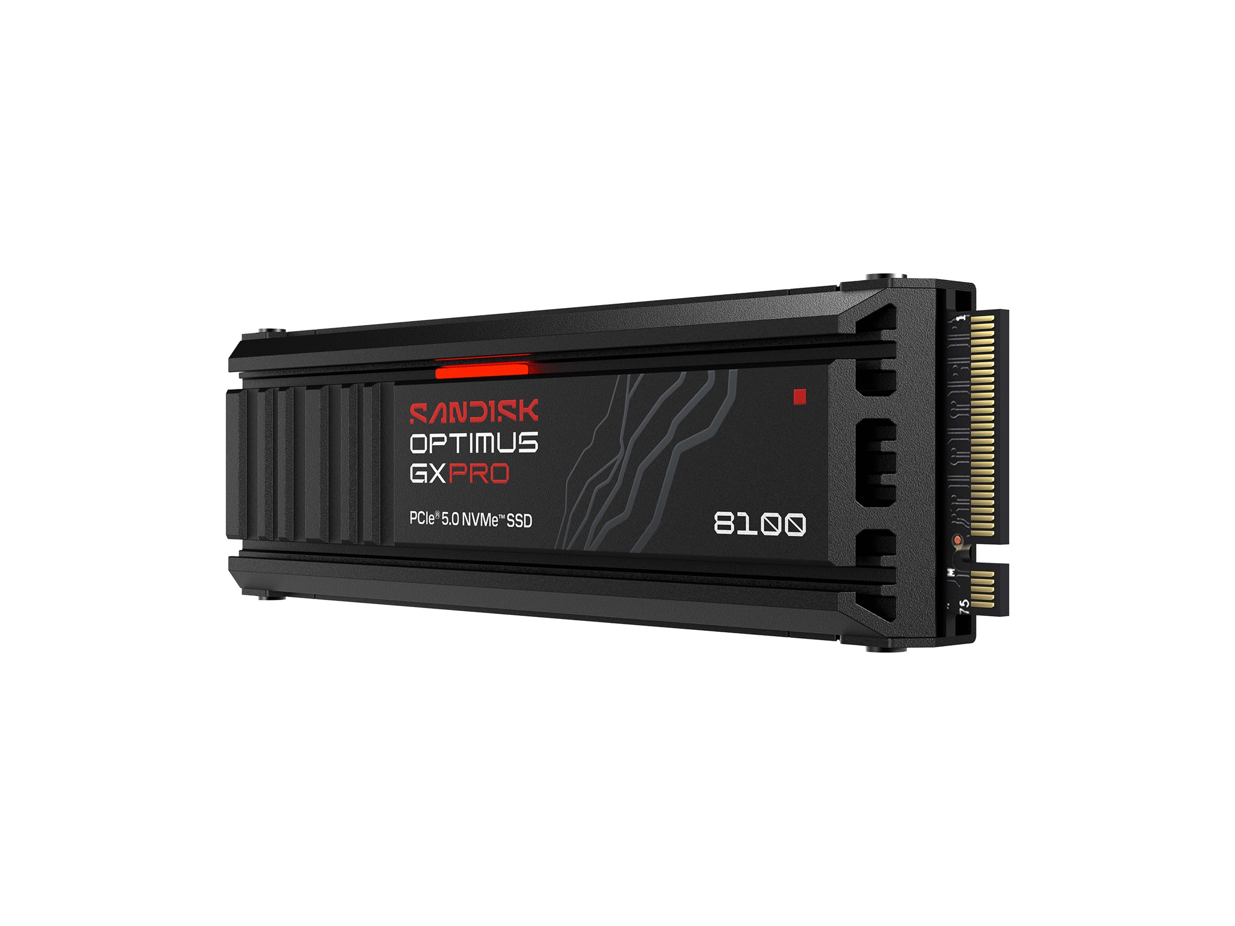 SANDISK Optimus GX PRO 8100 1TB Heatsink