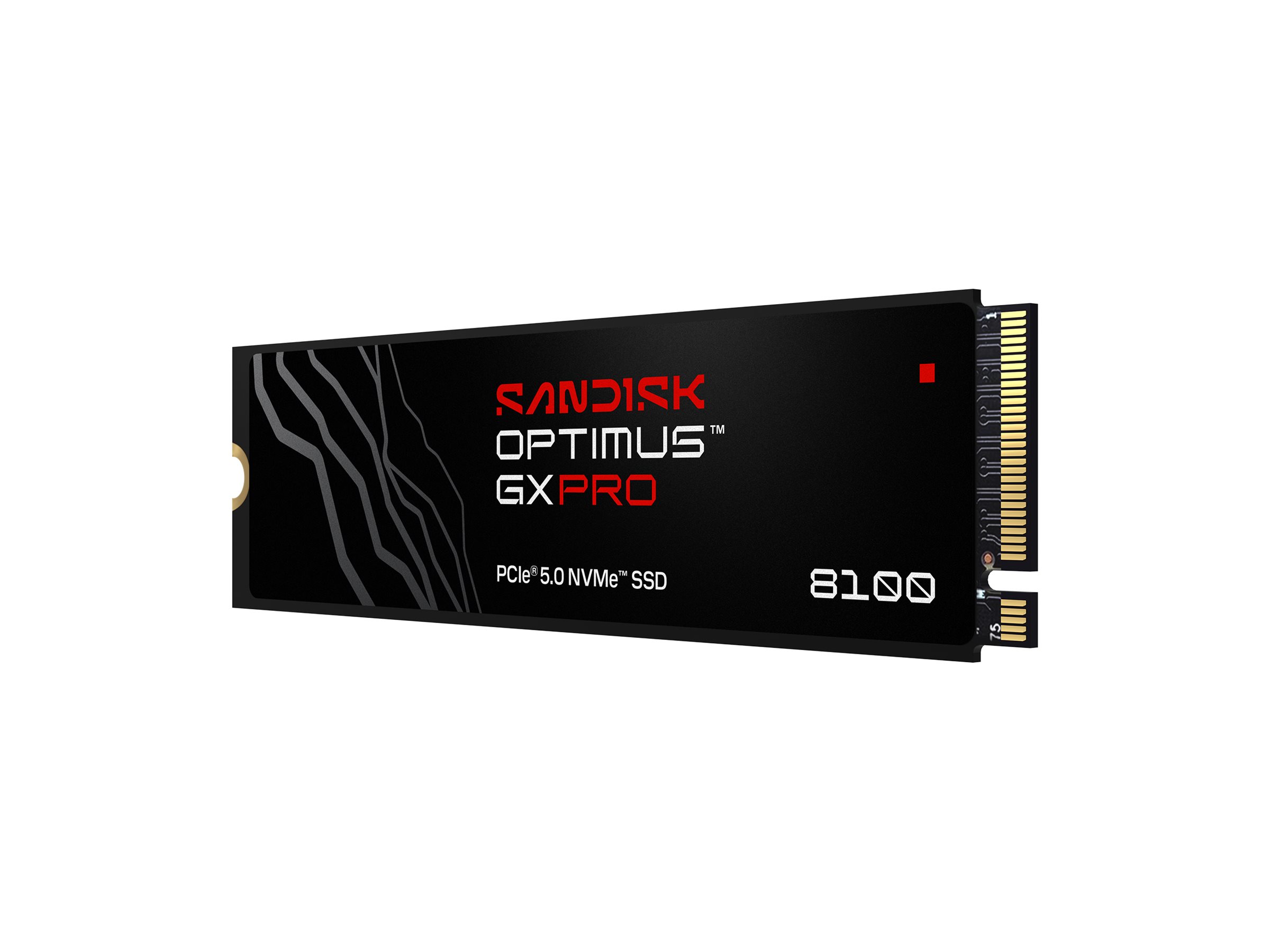 SANDISK Optimus GX PRO 8100 SSD 2TB