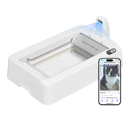 PETKIT Purobot Crystal Duo with Camera Self-Cleaning Cat Litter Box White