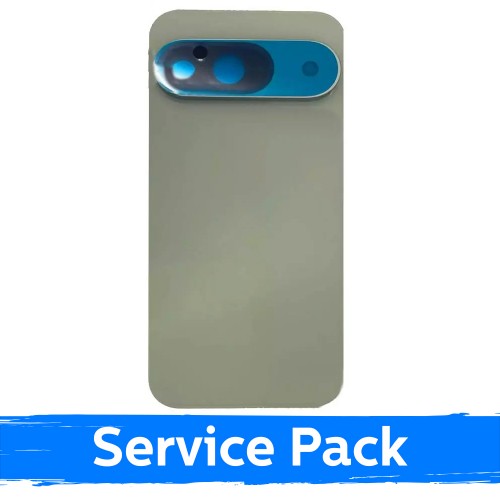 Back Cover Compatible With Google Pixel 9 / Wintergreen / (Service Pack)