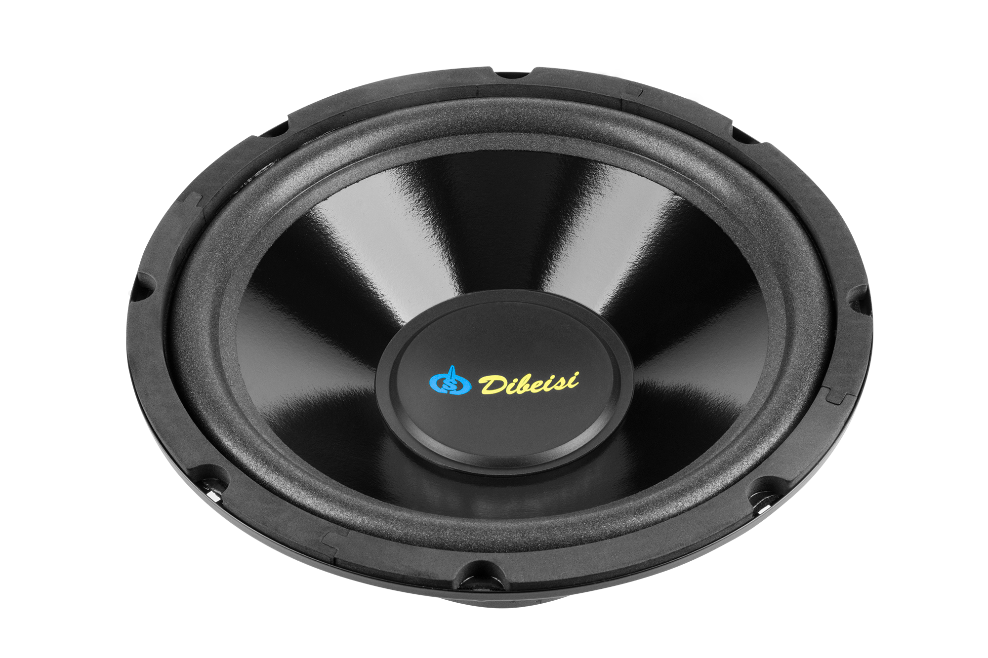 10 tuuman DBS-G1002-kaiutin, 8 ohmia
