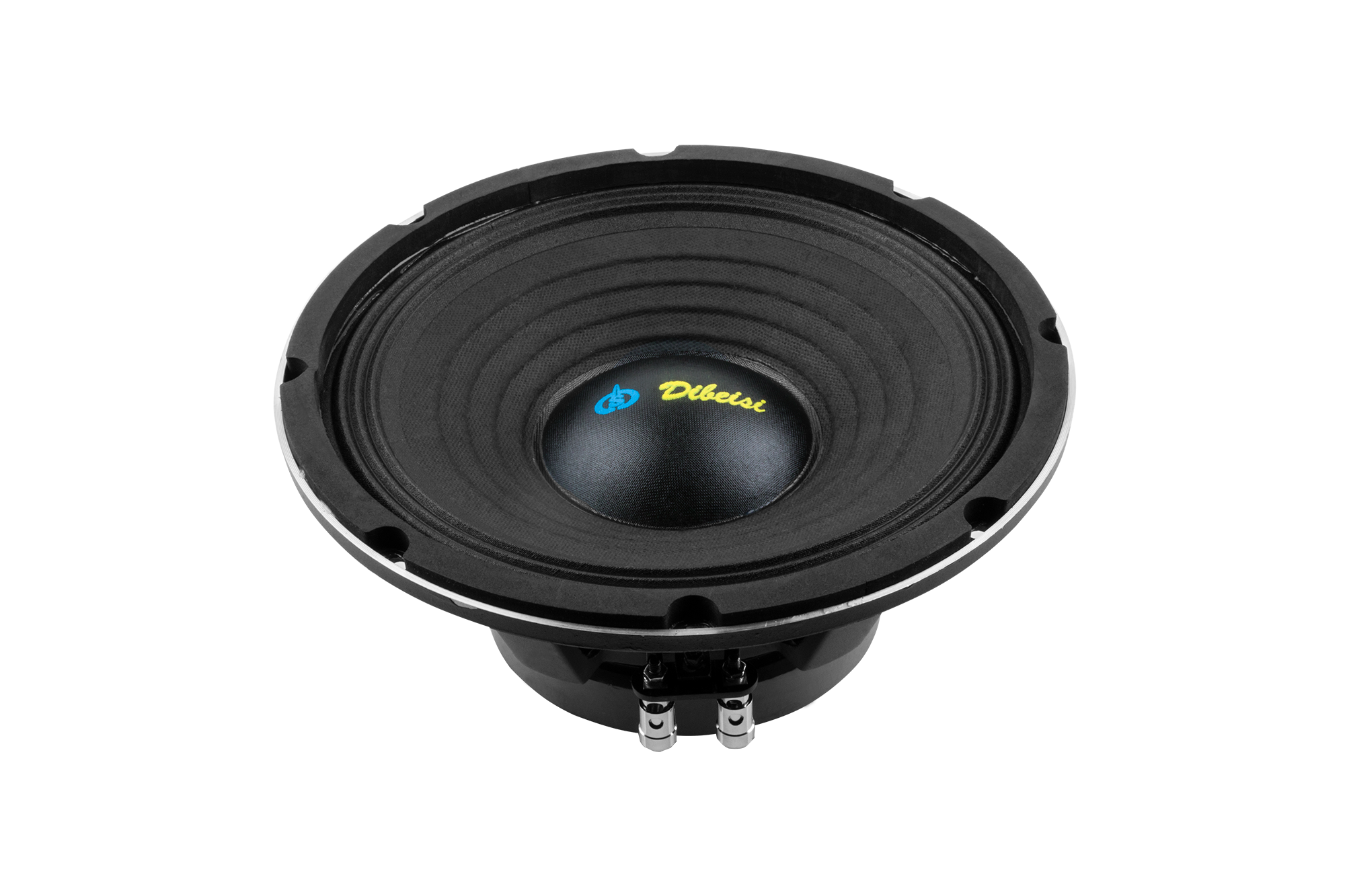 10 tuuman DBS-PS1005-8-kaiutin